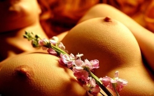 Тепличная разборка